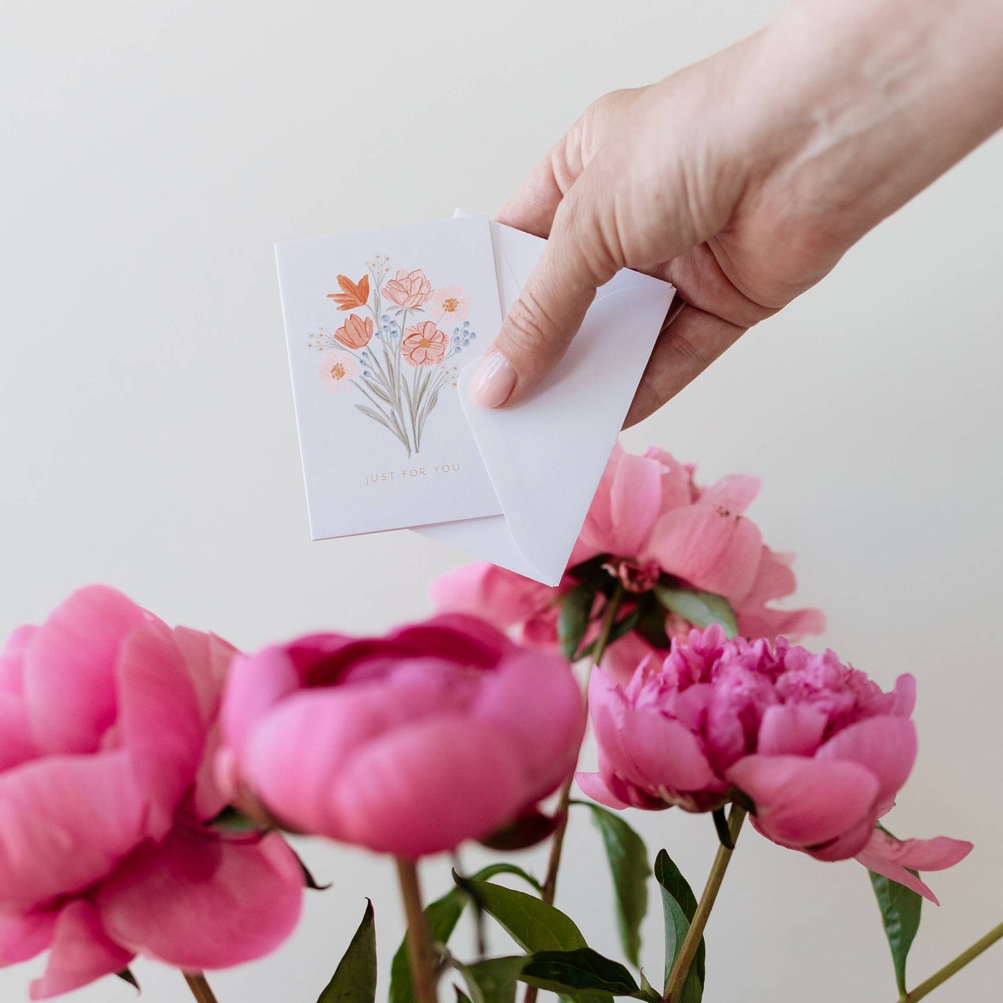 Mini Greeting Card Collection