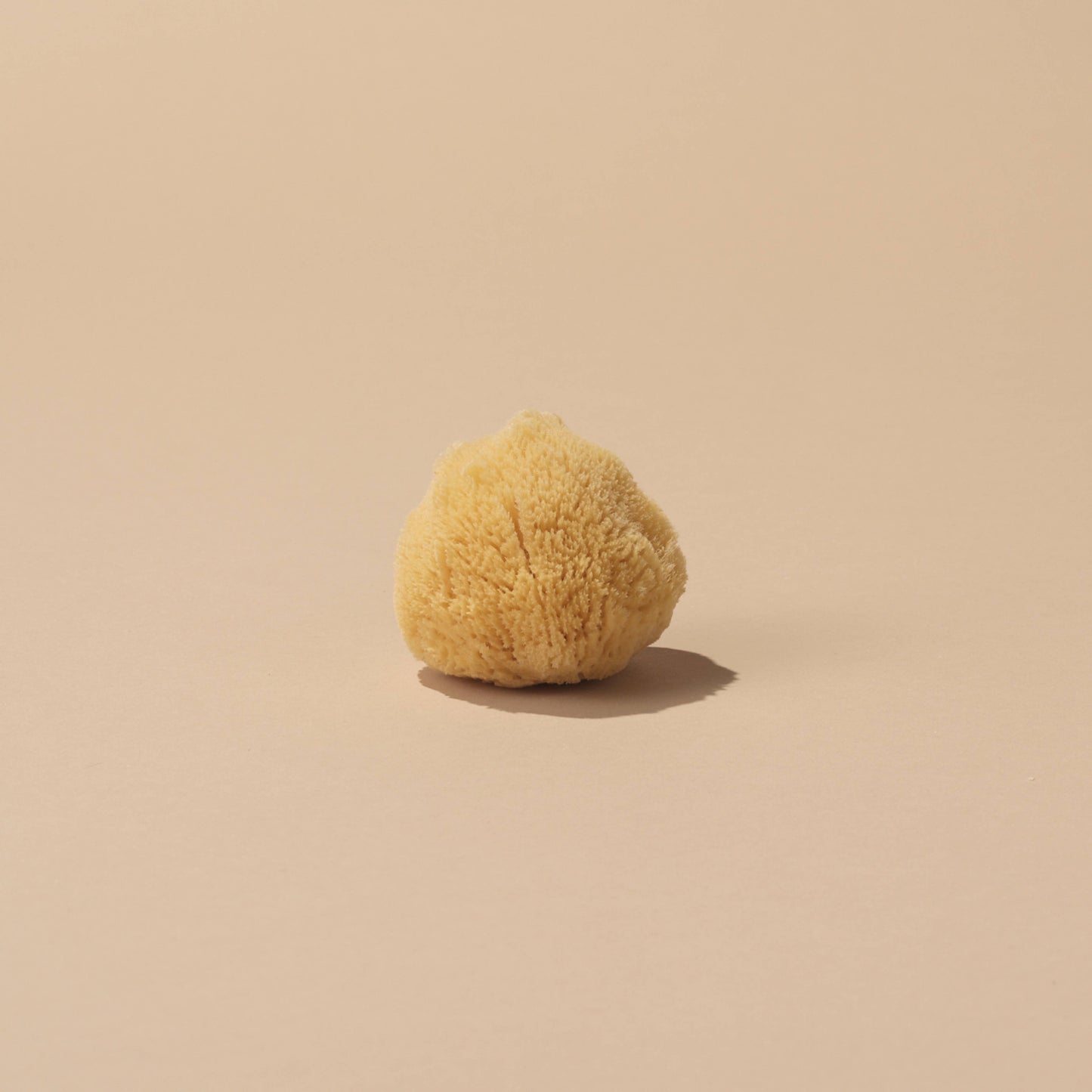 Natural Sea Sponge