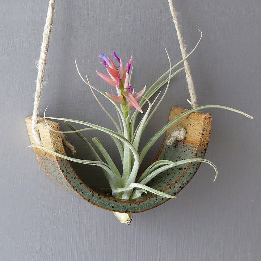 Ceramic Air Plant Cradle