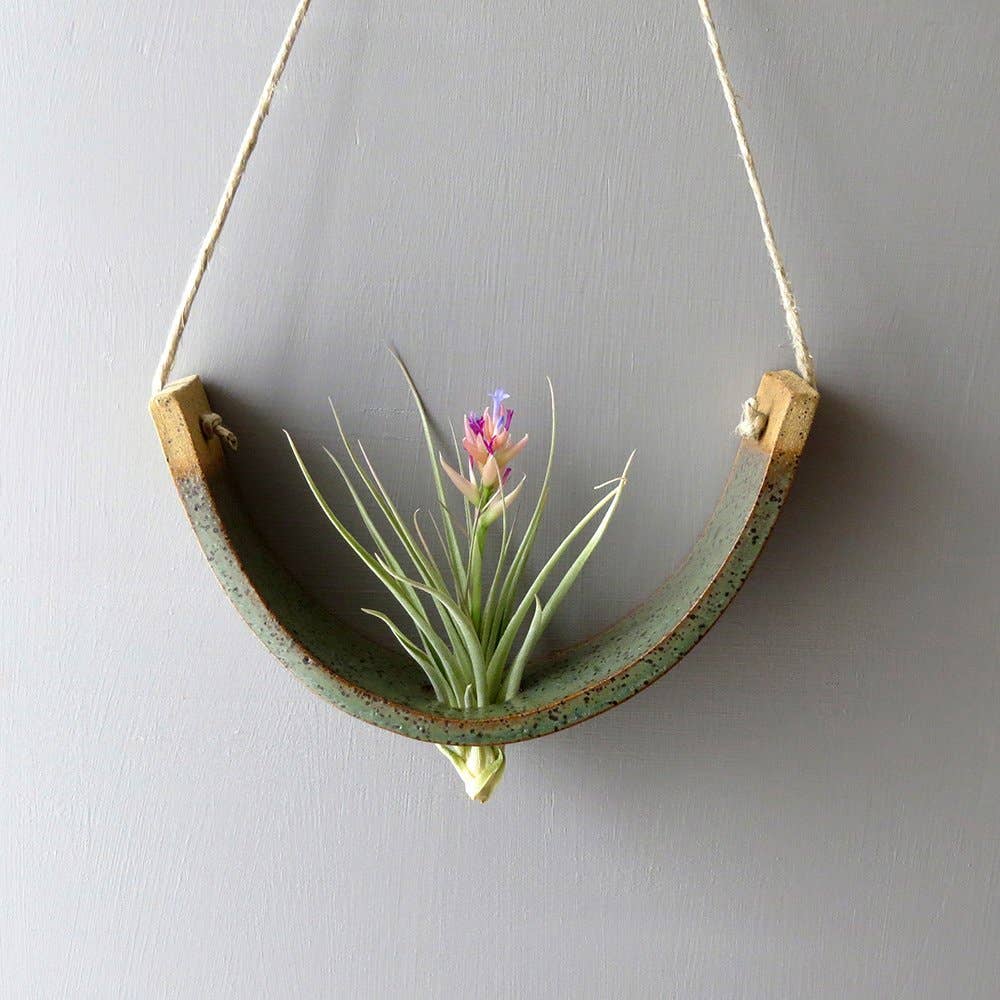 Ceramic Air Plant Cradle