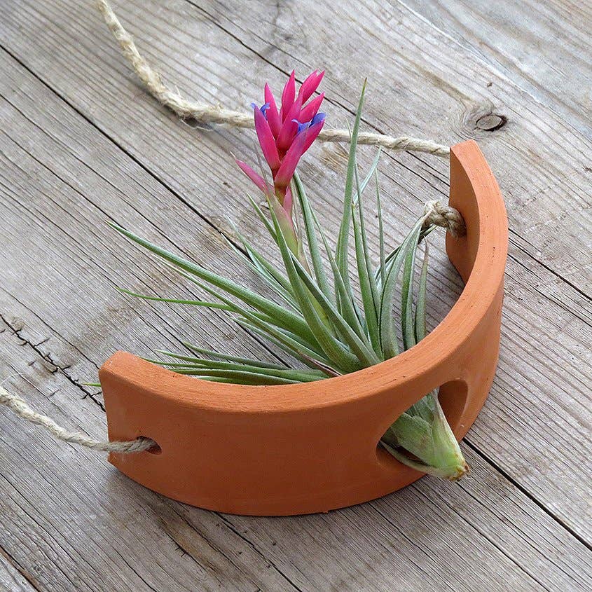 Ceramic Air Plant Cradle