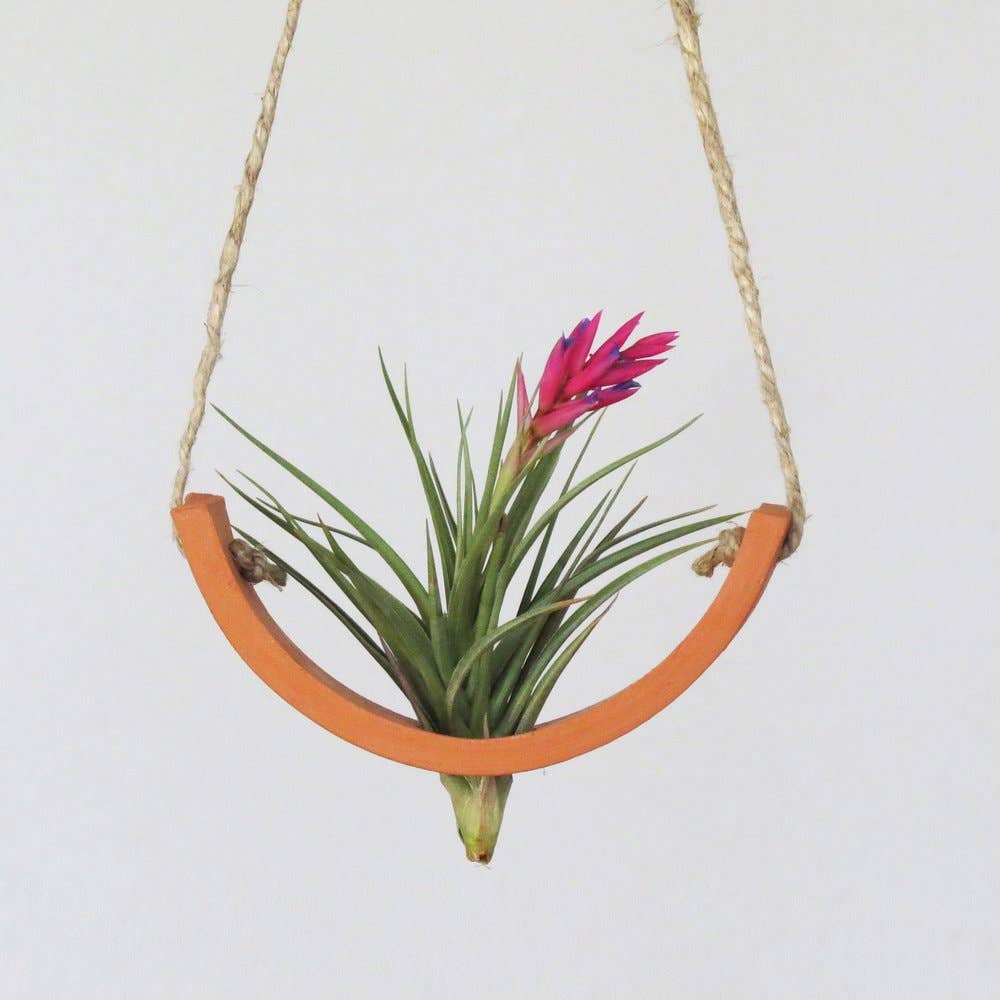 Ceramic Air Plant Cradle