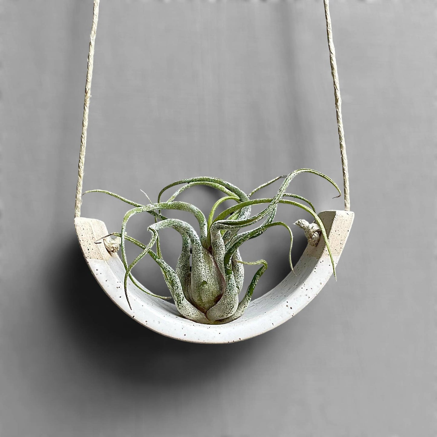 Ceramic Air Plant Cradle