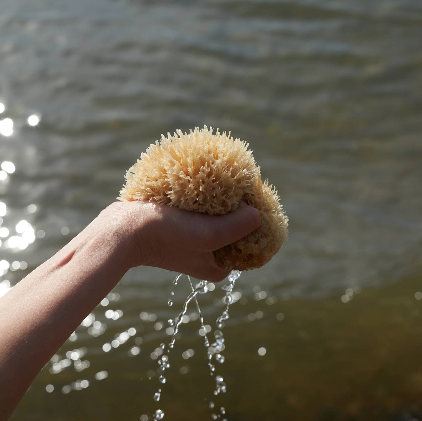 Natural Sea Sponge