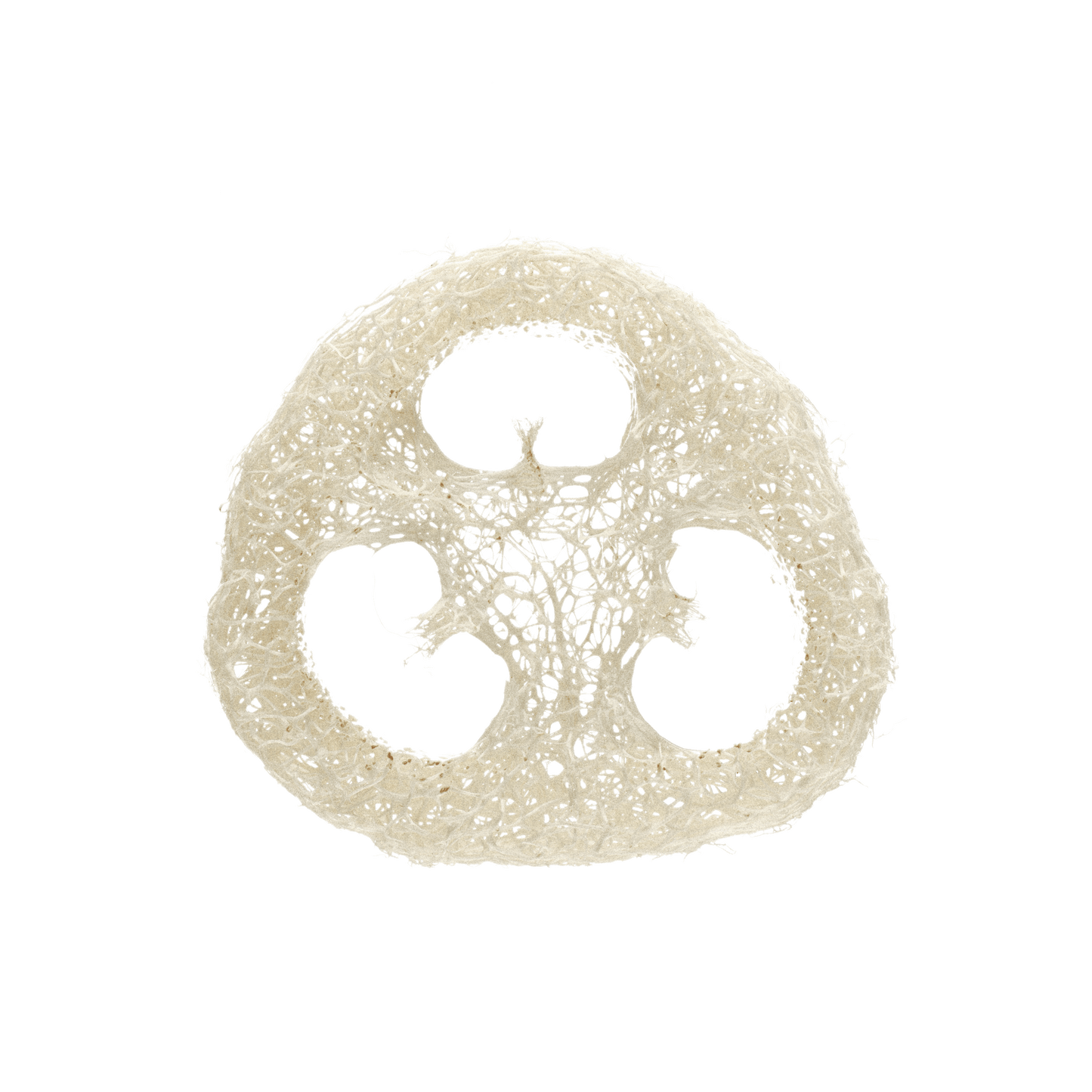 Natural Gourd Loofah