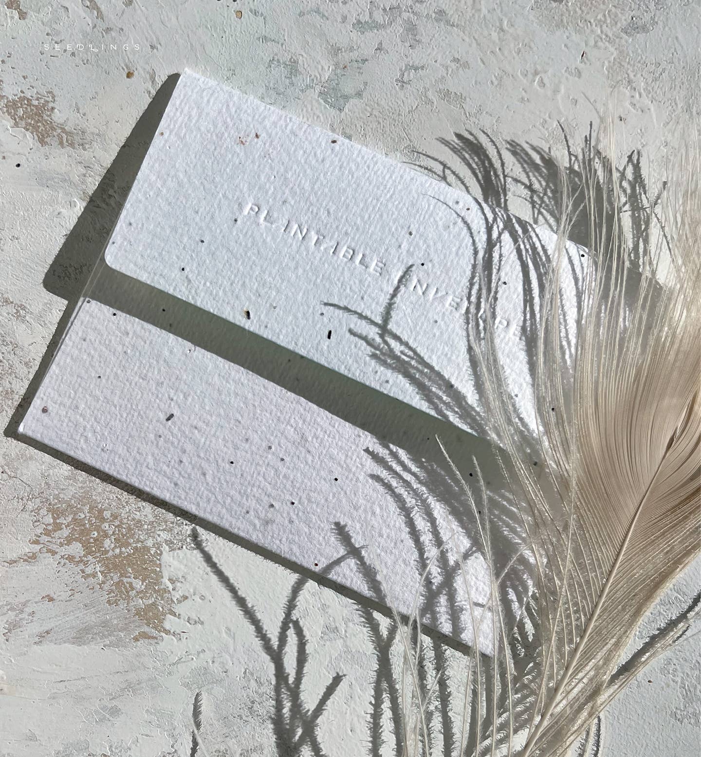 Pop Some Bubbly Wedding Greeting Card