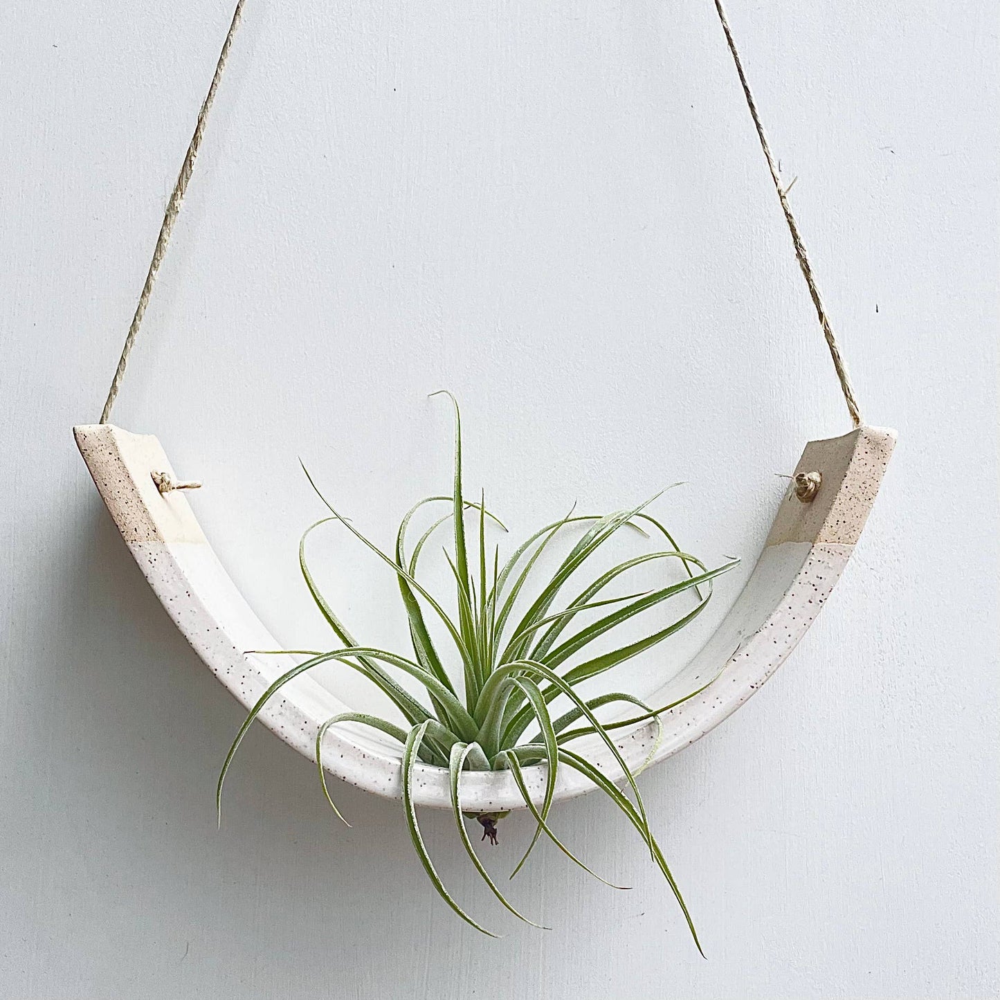 Ceramic Air Plant Cradle