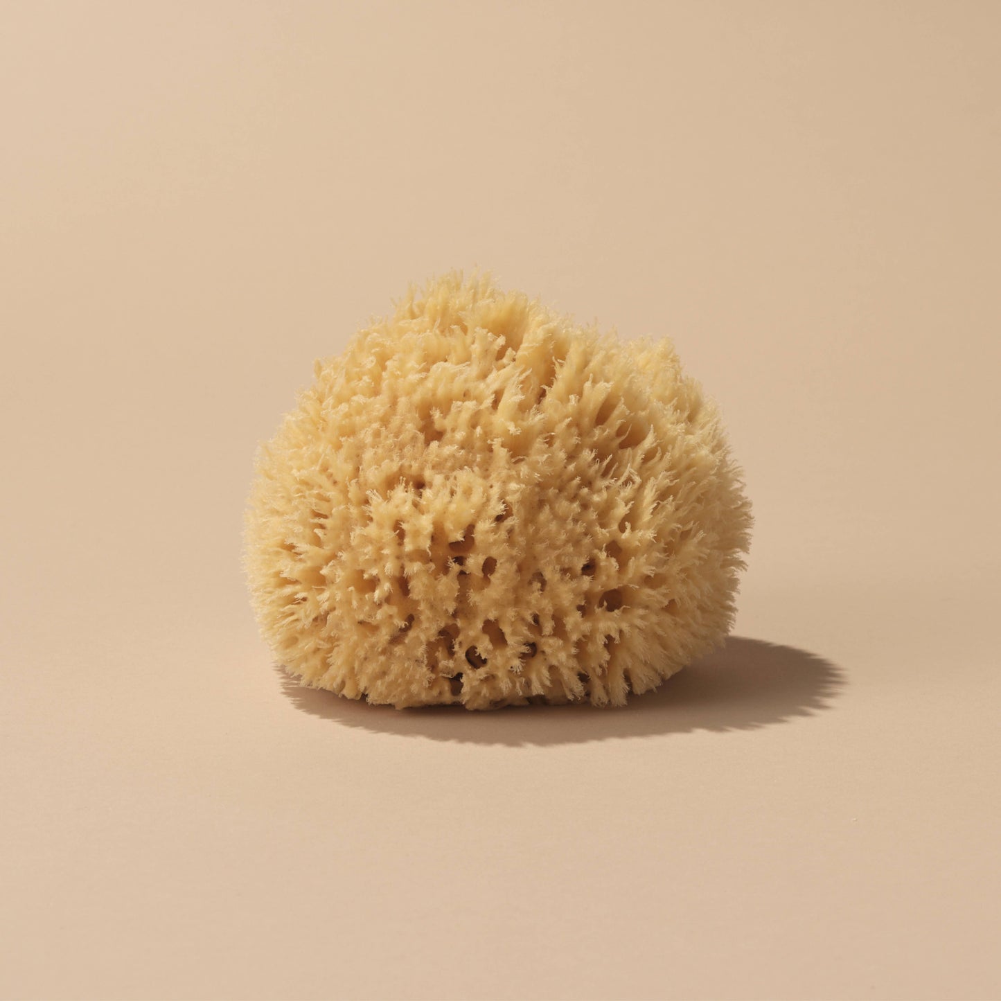 Natural Sea Sponge