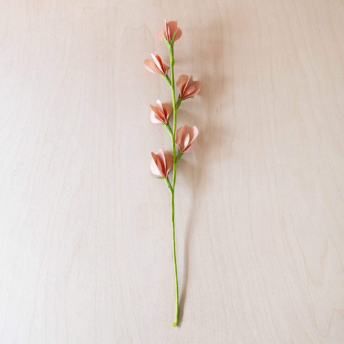 Corn Husk Stems and Branches