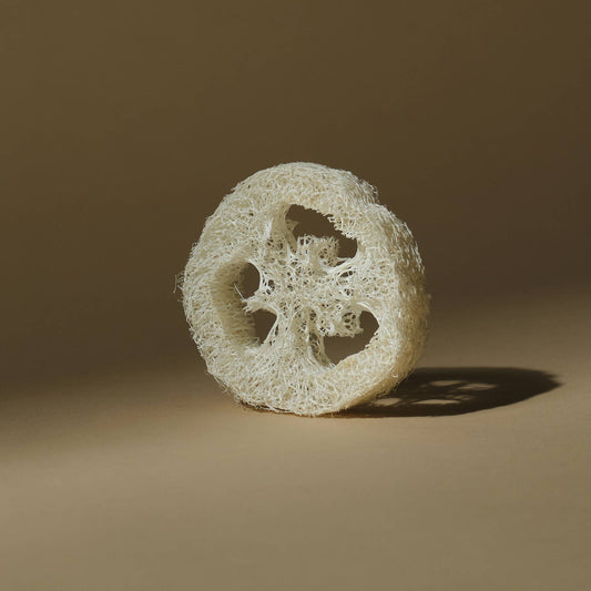 Natural Gourd Loofah