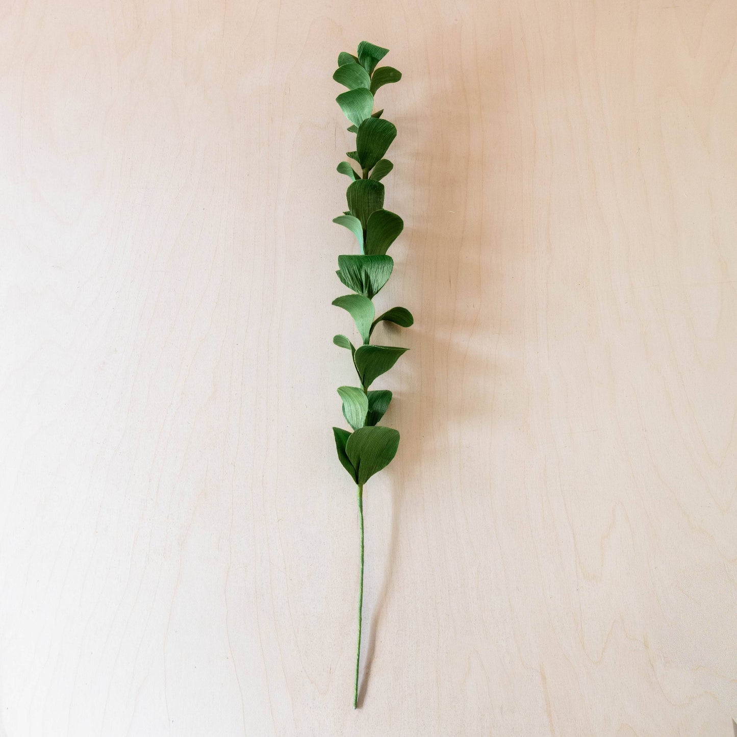 Corn Husk Stems and Branches