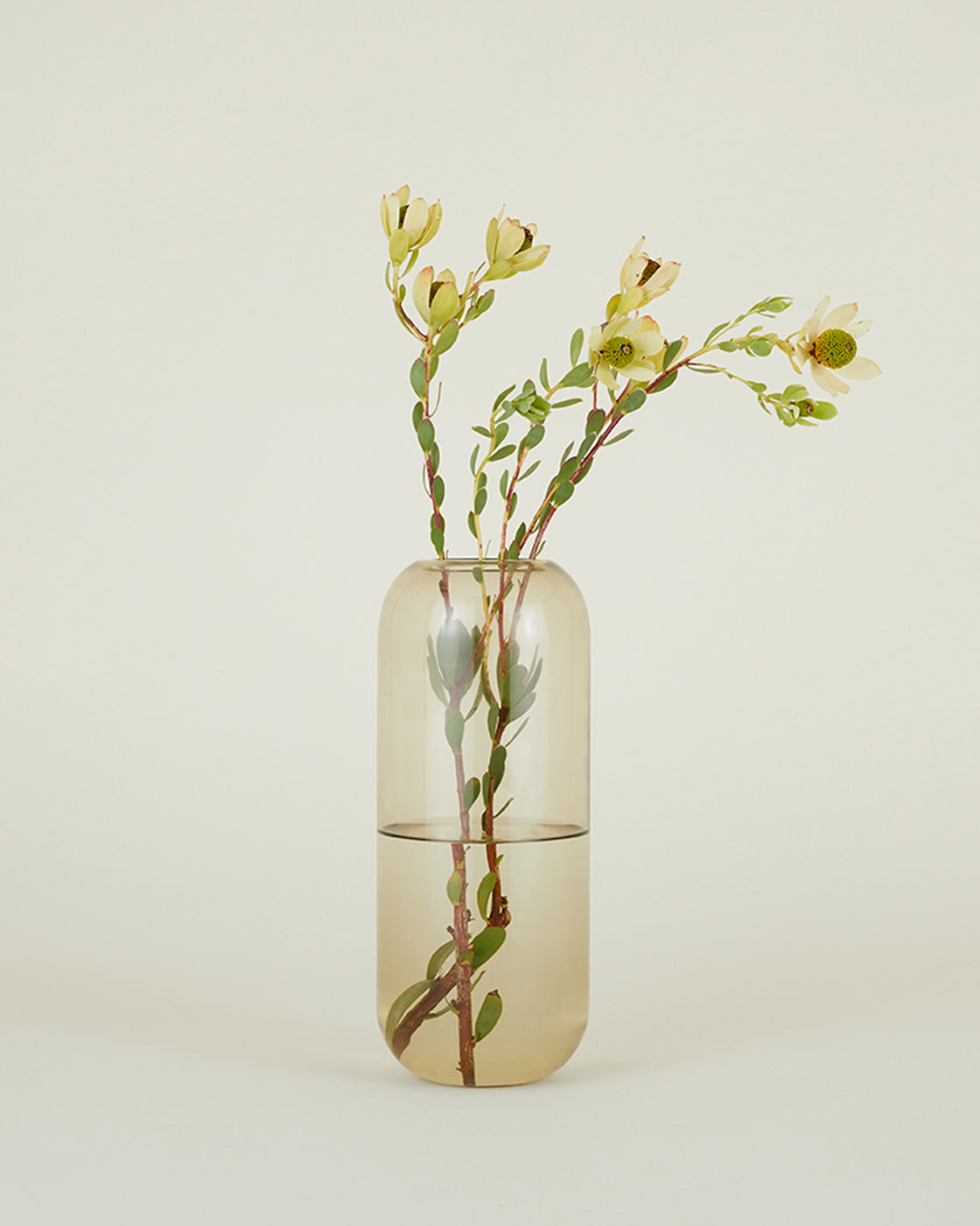 Aurora Vase