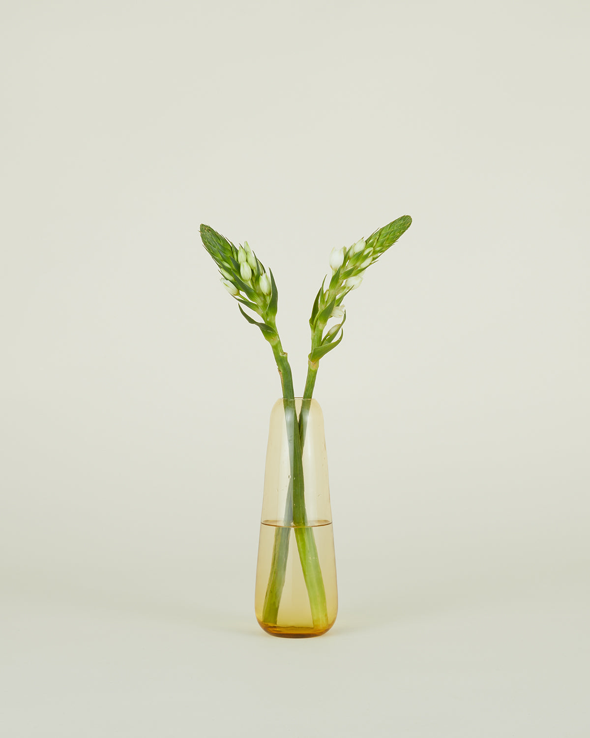 Aurora Vase