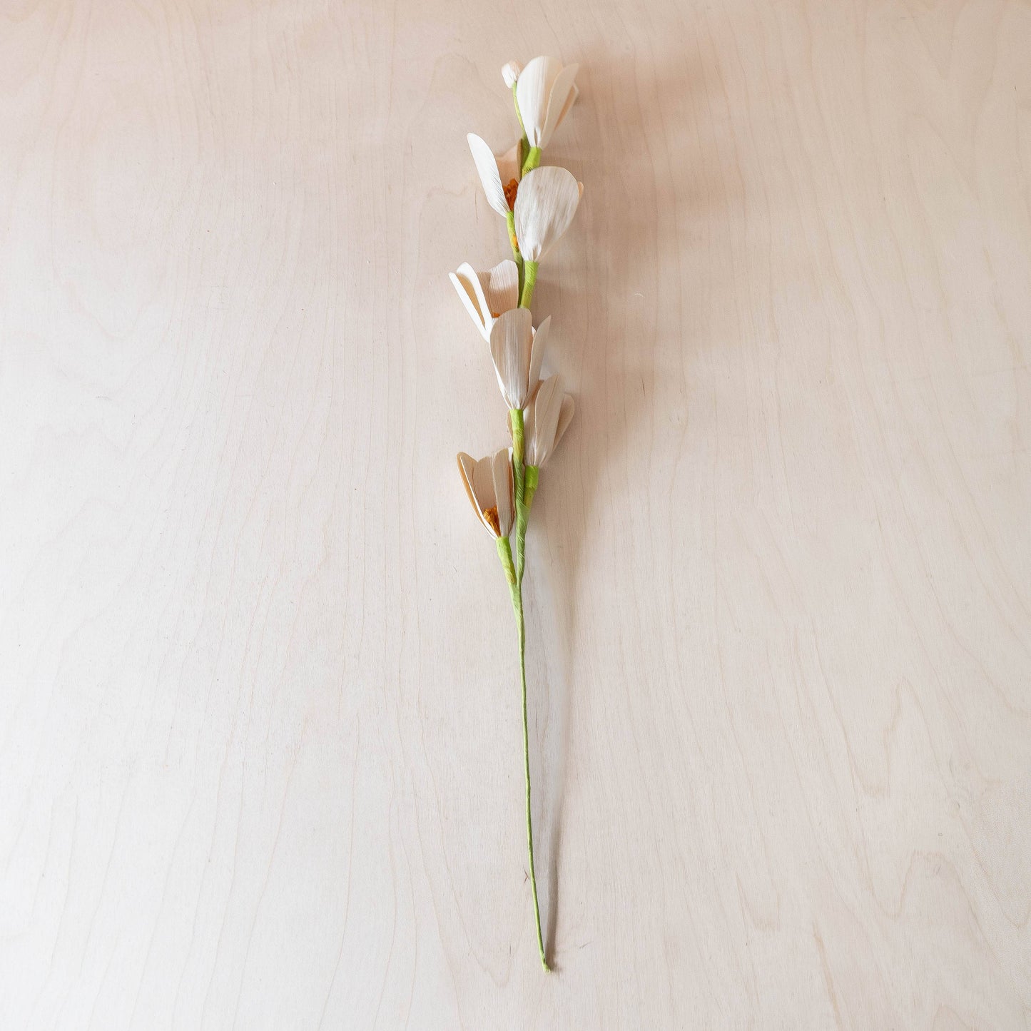 Corn Husk Stems and Branches